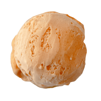 Abrikosis, sorbet